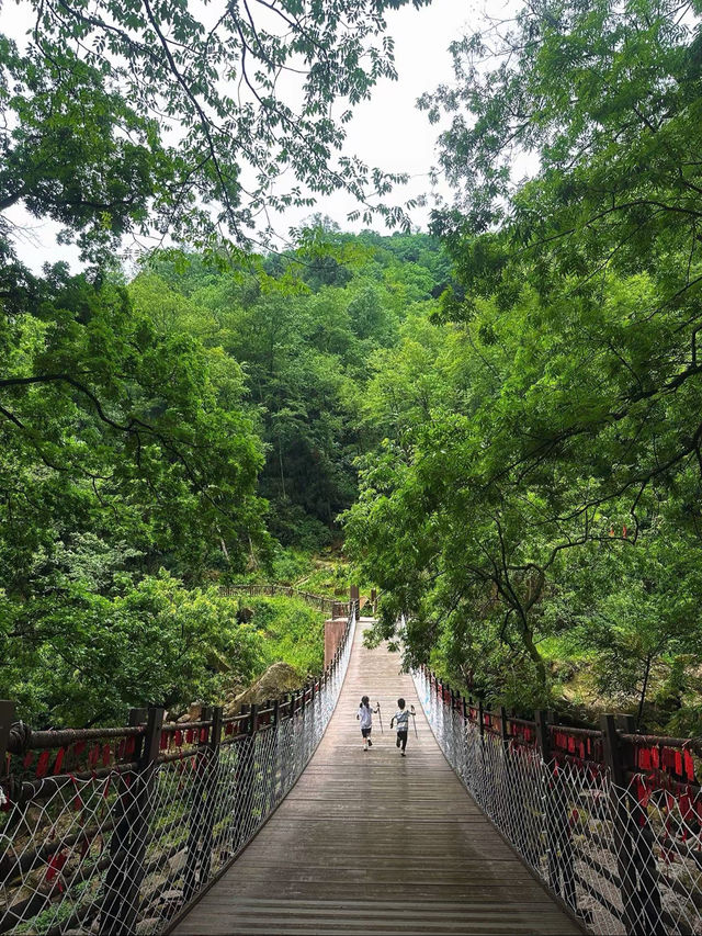 成都天台山｜川西秘境｜避暑玩水天花板！
