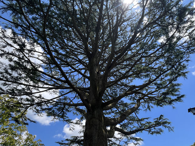 箱根秘境法式花園