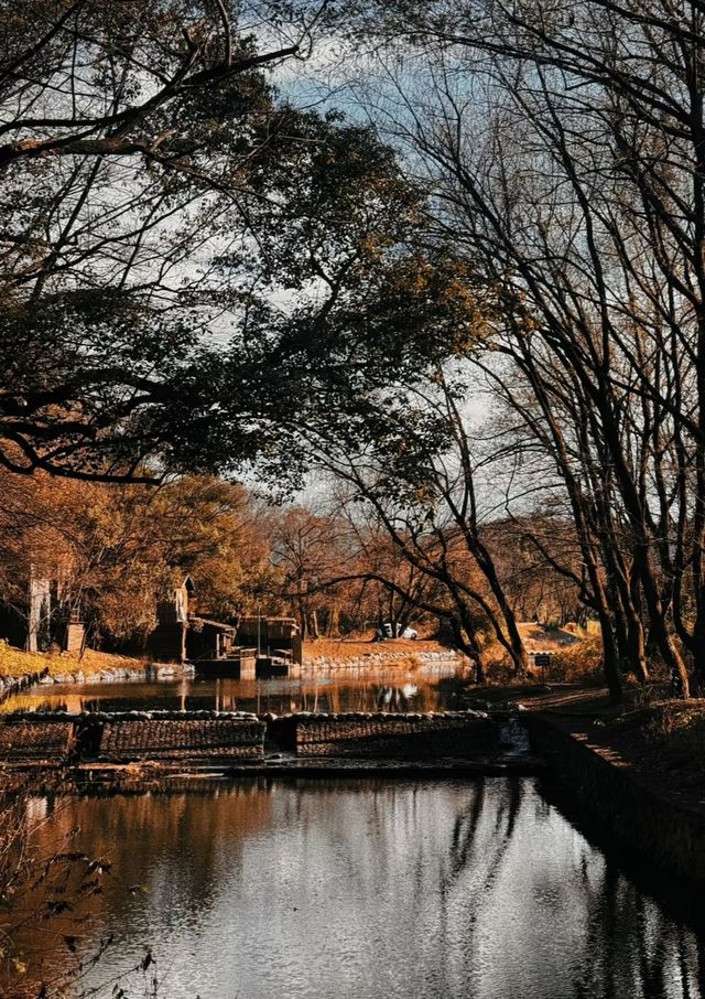 永康、麗水、溫州周邊遊