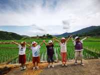 雲水謠歸田園居民宿遊玩攻略