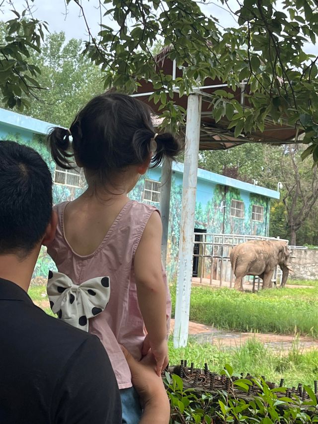 秦嶺野生動物園超全攻略 秦嶺野生動物園超全攻略