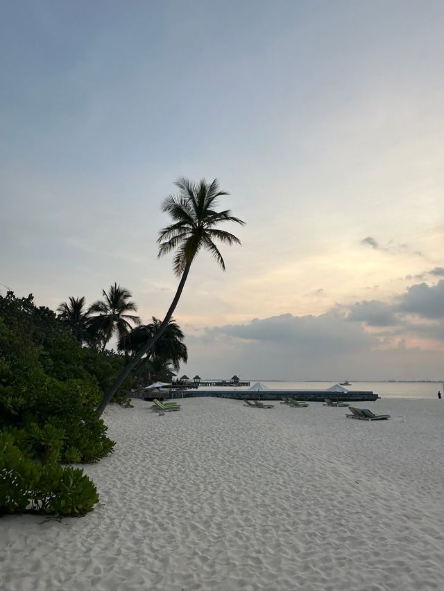 A Memorable Family Holiday at JA Manafaru