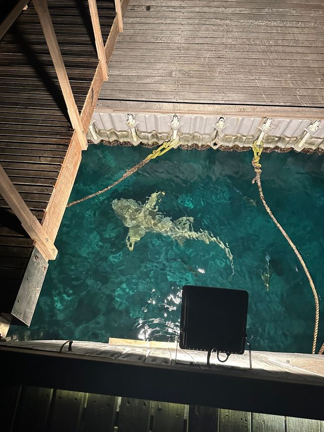 A Memorable Family Holiday at JA Manafaru