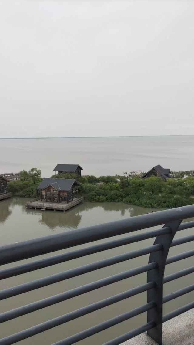 興凱湖：中俄界湖秘境之旅