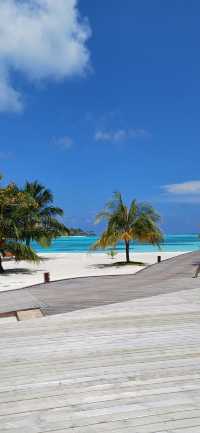 Paradise on Earth: Sun, Sea, and Luxury