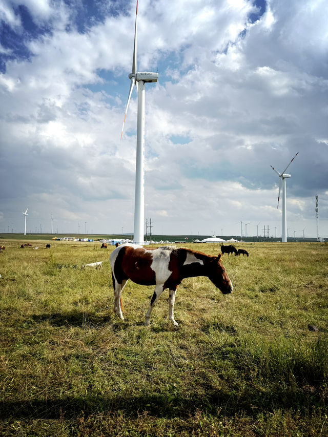 A Journey Through Hohhot and Ulanqab’s Majestic Landscapes