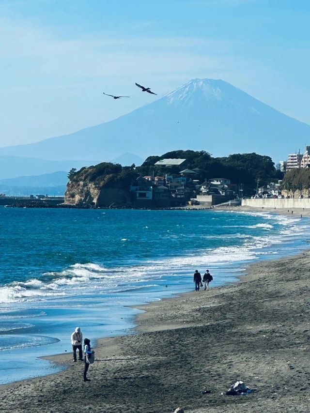 別只盯住東京玩啦！箱根同埋鎌倉都好值得一去