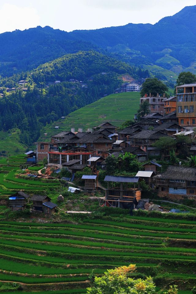 貴州黔東南加榜梯田‖體驗原生態的避世村寨風景