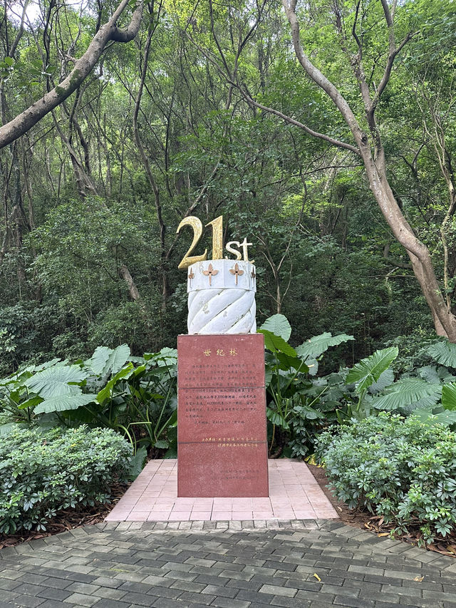 Morning Escape at Bijiashan Park, Shenzhen Morning Escape at Bijiashan Park, Shenzhen