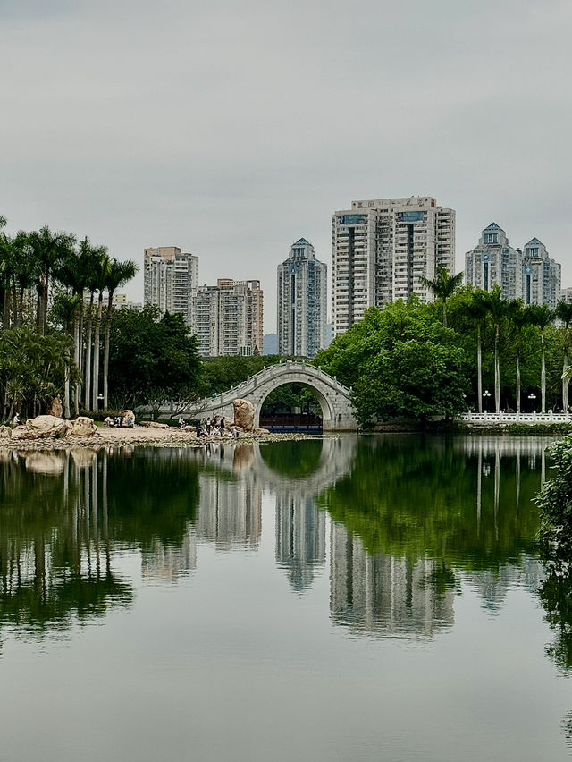 Lychee Park Shenzhen