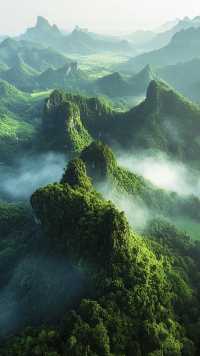 一個淨化心靈的地方一一費州梵淨山