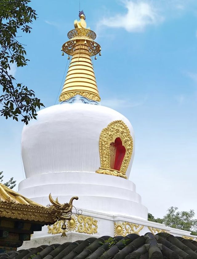 沈陽逛吃躺平指南:打卡北陵公園! 沈陽逛吃躺平指南:打卡北陵公園!