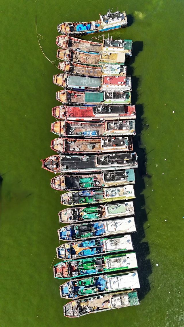廣東陽江東平鎮海港