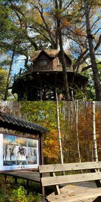 露水河國家森林公園太美啦