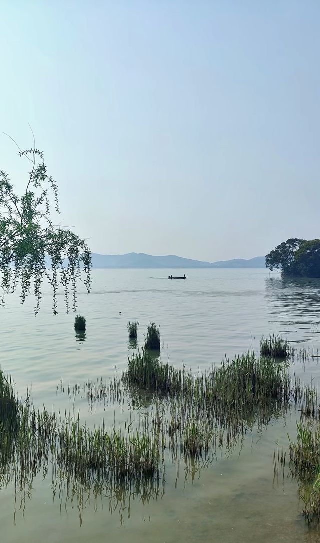 太湖鼋頭渚觀鳥最佳點位!秒變仙境大片 太湖鼋頭渚觀鳥最佳點位!秒變仙境大片