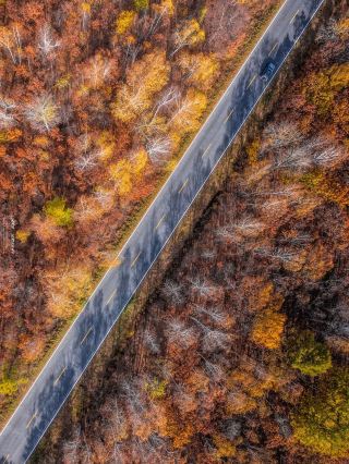 Catch the Last Tail of Autumn and Rush to Xiaoxing'an Mountains for 3 Days and 2 Nights of Breathtaking Red Pine Forests