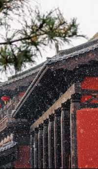 當古建與雪花同框