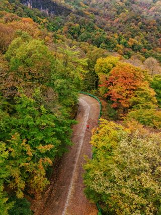 National Geographic didn’t lie to me!! The autumn here is stunningly beautiful!!