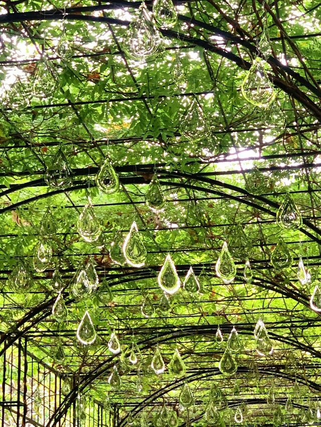 公園的浪漫，復興公園不會淋濕的雨