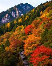 秋日賞楓絕佳秘境|10月中旬至11月中旬是賞秋黃金期
