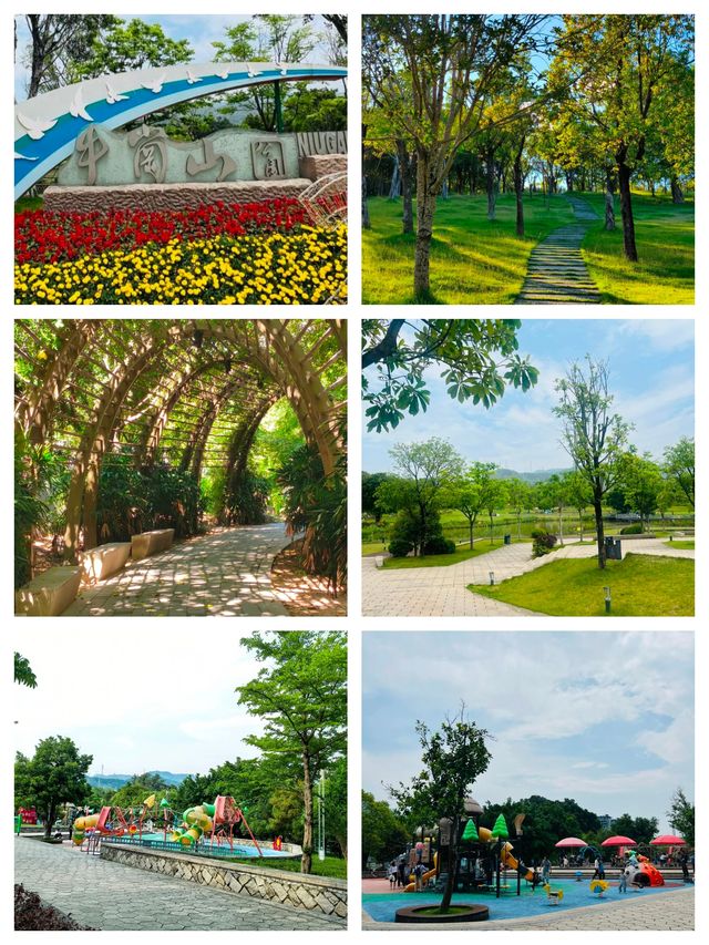 牛崗山公園