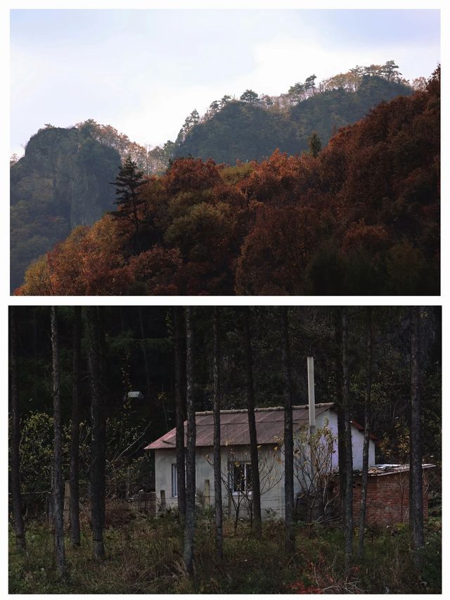 本溪楓葉「顏值巔峰」·【湖里畫家村】
