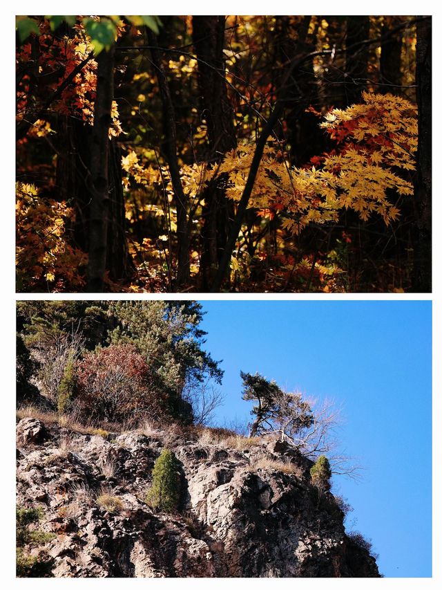 本溪楓葉「顏值巔峰」·【湖里畫家村】