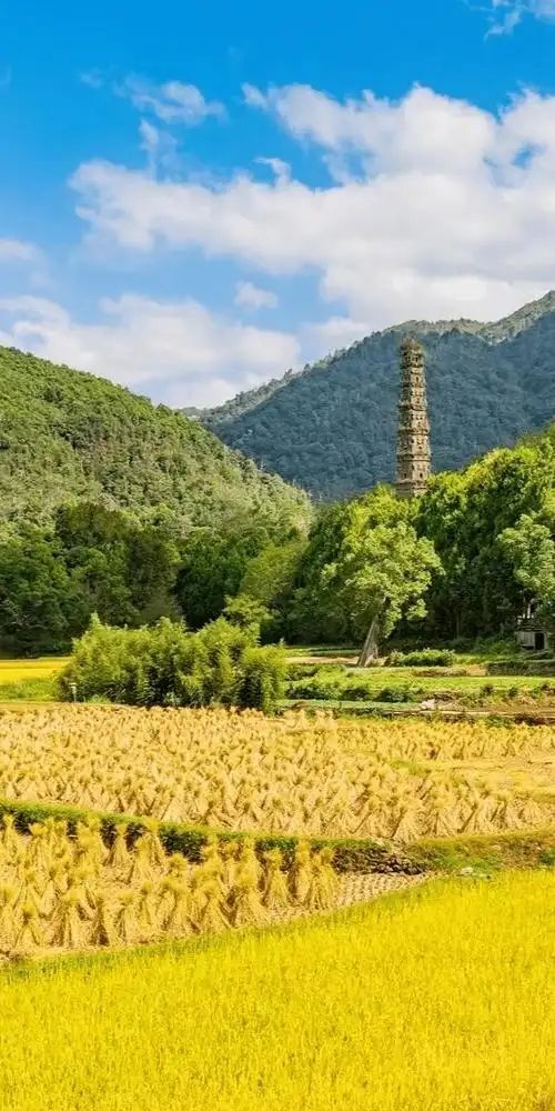 墜入秋天的童話天台山秋日漫遊指南