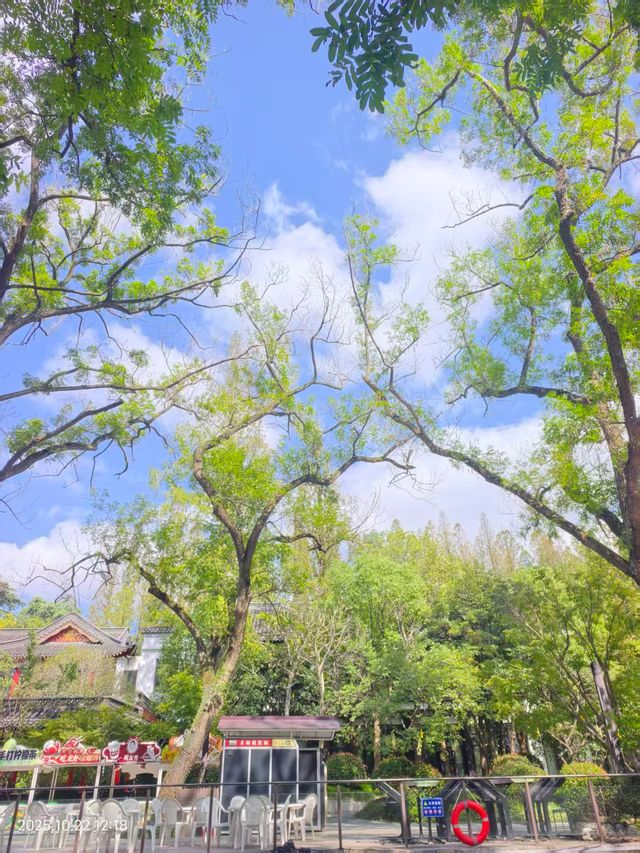 藍天白雲下，紅橋周邊風景美出圈！