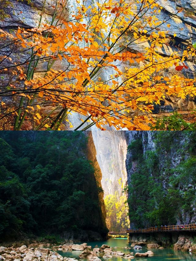 河北阜平！解鎖深秋「隱藏副本」，太行深處的彩林童話