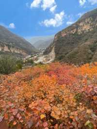 北京坡峰嶺,被國家地理認證的紅葉天花板!