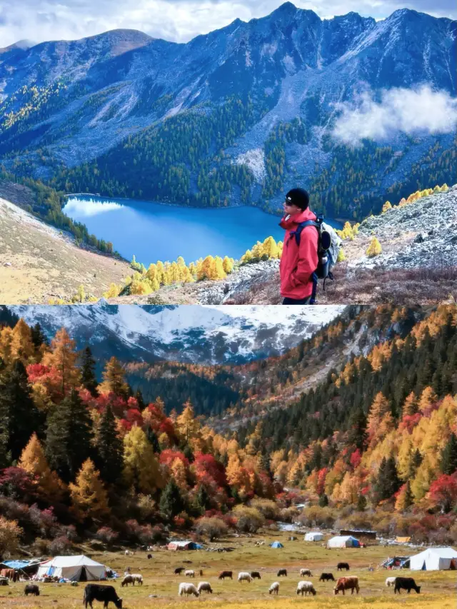 คู่มือ 3 วัน 2 คืน Dangling Village | เดินป่า น้ำพุร้อน และตั้งแคมป์ชมดาว: ประสบการณ์เพดานเสฉวนตะวันตก