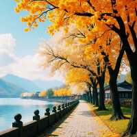 500畝桂花海香到迷路！蘇州西山島賞桂全攻略