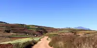 大地的調色板