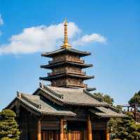 ๐์ํ์ด์ ํ ๋น๋๋ผ ํ ์ ์, ๊ฐ์์ ์๋ฒฝํ ์ ์ทจ ๐ฏ