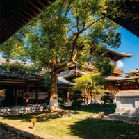 ๐์ํ์ด์ ํ ๋น๋๋ผ ํ ์ ์, ๊ฐ์์ ์๋ฒฝํ ์ ์ทจ ๐ฏ