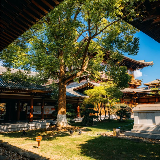 ๐์ํ์ด์ ํ ๋น๋๋ผ ํ ์ ์, ๊ฐ์์ ์๋ฒฝํ ์ ์ทจ ๐ฏ ๐์ํ์ด์ ํ ๋น๋๋ผ ํ ์ ์, ๊ฐ์์ ์๋ฒฝํ ์ ์ทจ ๐ฏ