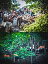 我飄了，竟敢挑戰世界盡頭暴風徒步