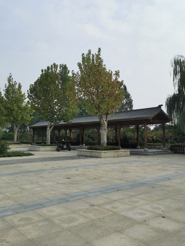 【河南省濮陽市】龍山公園。