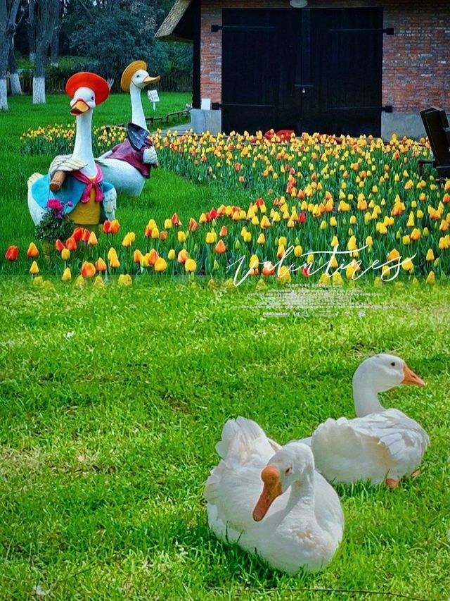 【南京綠博園大揭秘！你不知道的隱藏寶藏，絕對讓你驚喜連連！】 大家好，我是你們的旅遊探秘小達人