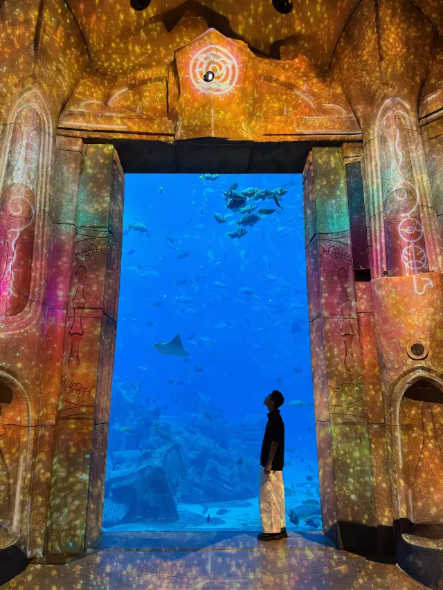 迪拜亞特蘭蒂斯遊玩篇