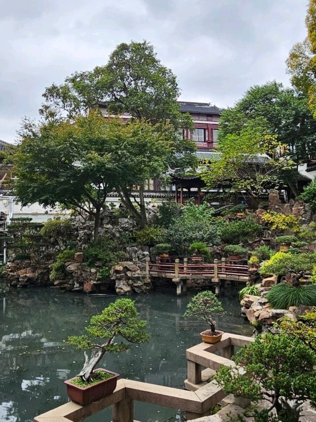 Yu Garden Serenity🌿 Yu Garden Serenity🌿