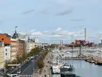 芬蘭赫爾辛基｜紅玫瑰與白玫瑰