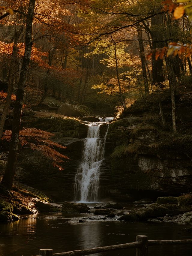 帶娃賞秋不踩雷！光霧山紅葉攻略來啦