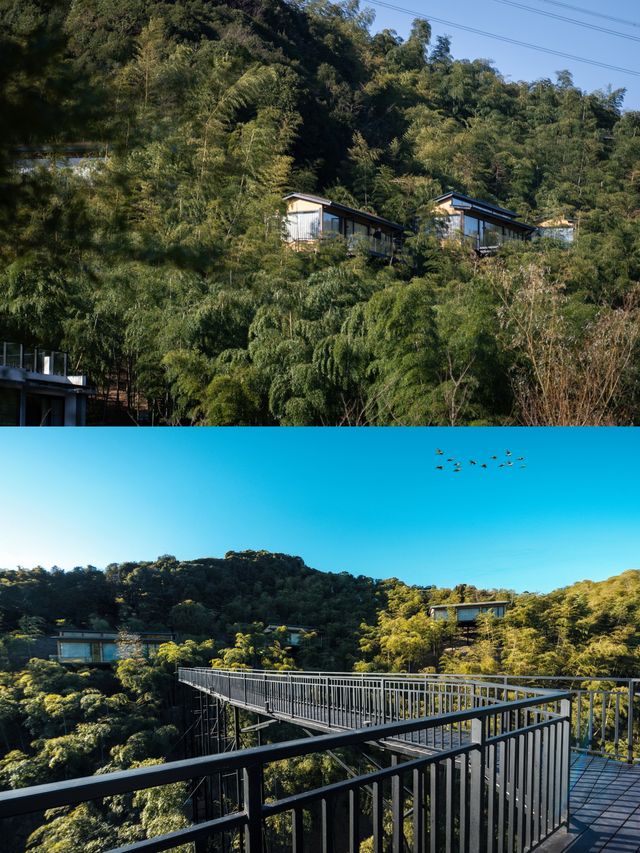 安吉躺平封神！私湯+瀑布+山野下午茶～