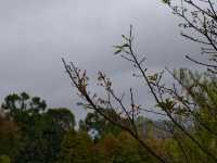 郴州東江湖白廊景區的美景