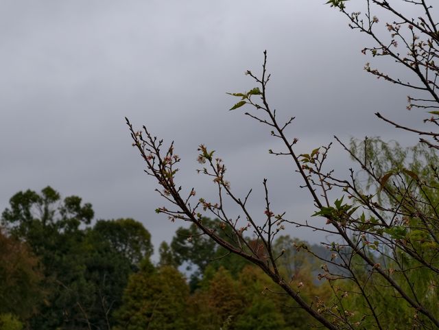 郴州東江湖白廊景區的美景