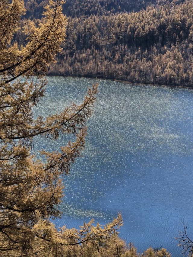 被（國家地理）評為中國5A最美秋色的阿爾山太美了