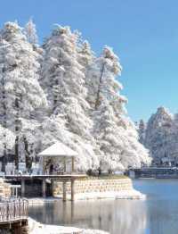 瘋了！廬山第一場雪，美到我站在雪地裡直跺腳！