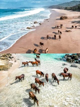 Sumba Island Resort: An Immersive Secluded Paradise